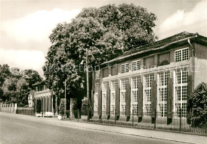 Mosigkau Staatliches Museum Schloss Orangerie