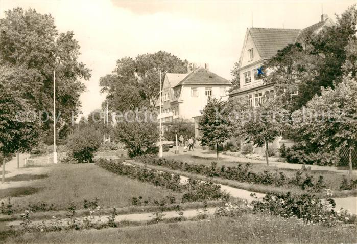 Poel Insel Schwarzer Busch