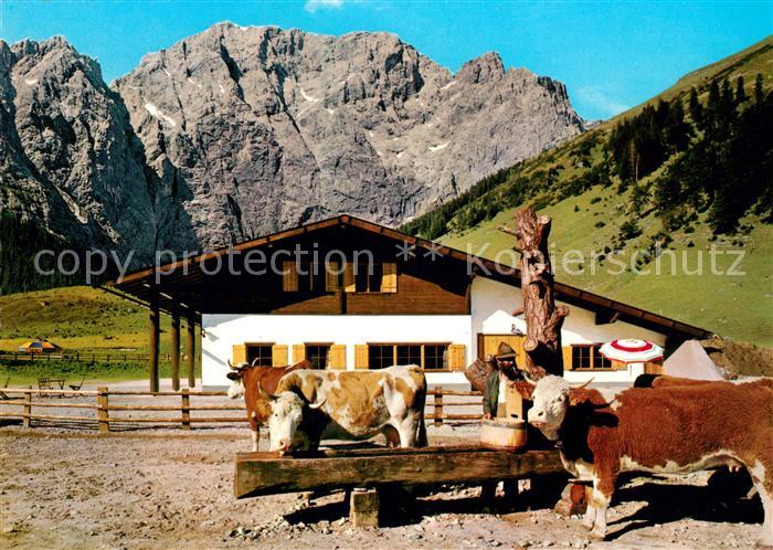 Hinterriss Tirol Rasthuette Eng Alm mit Karwendel und Viehtraenke