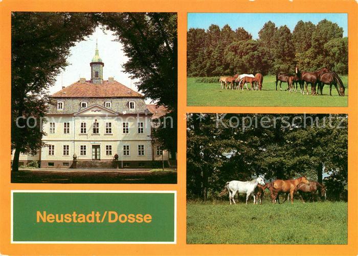 Neustadt Dosse VE Hauptgestuet Schloss Stuten mit Fohlen