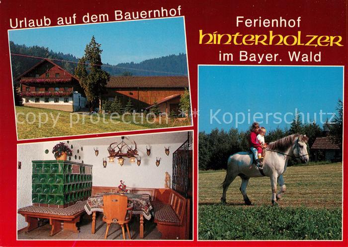 Kollnburg Ferienhof Hinterholzer Stube Reiten