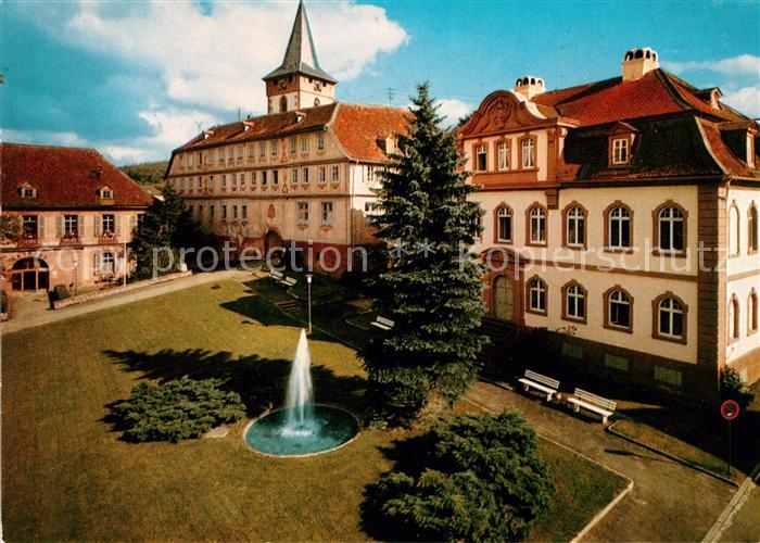 Bad Koenig Odenwald Schloss Brunnen