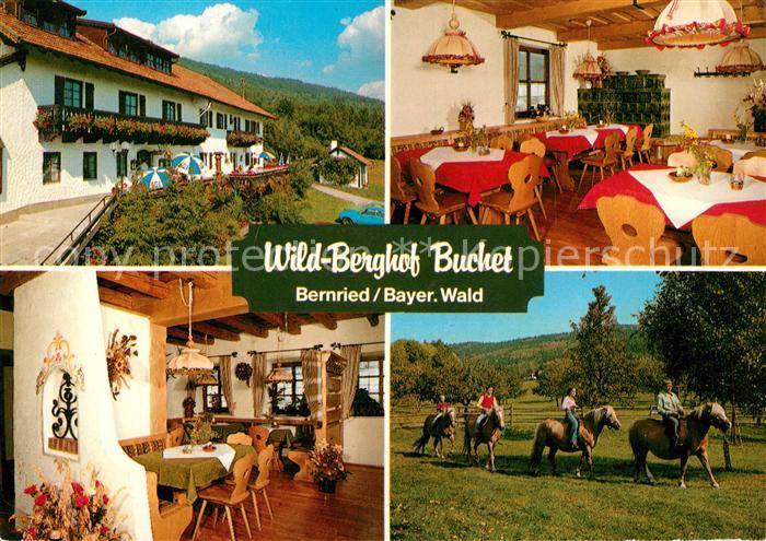 Bernried Niederbayern Wild Berghof Buchet Gastraeume Reiten