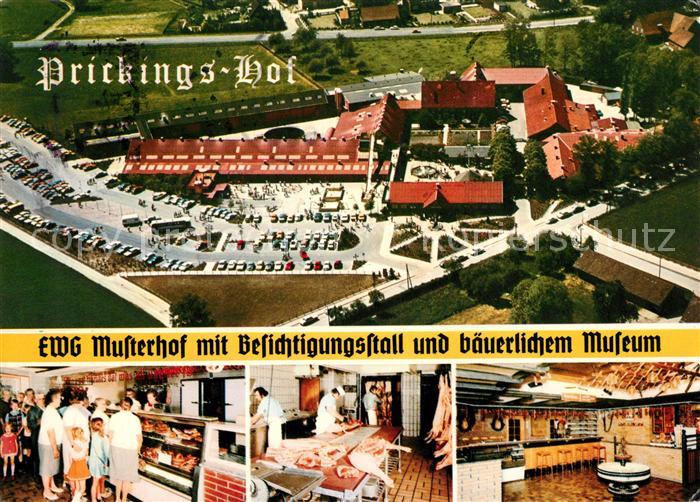 Sythen Prickings Hof Westfaelischer EWG Musterhof Fliegeraufnahme Teilansichten