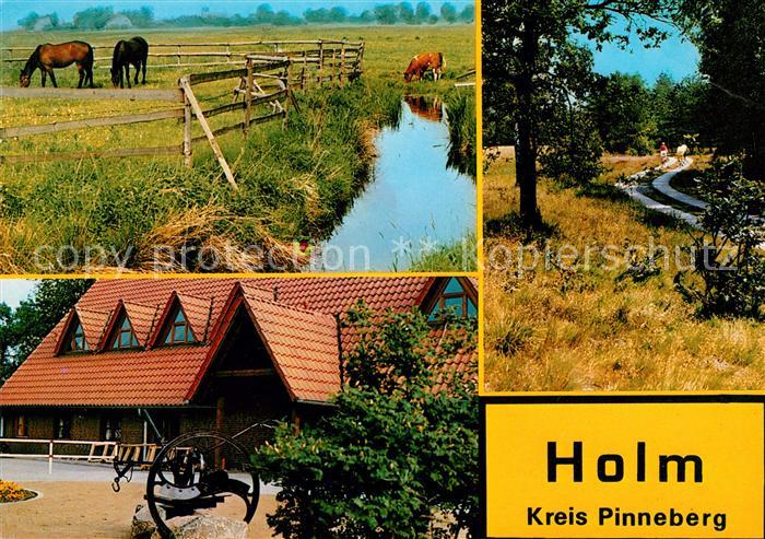 Holm Holstein Marsch Dorfgemeinschaftshus Holmer Sandberge