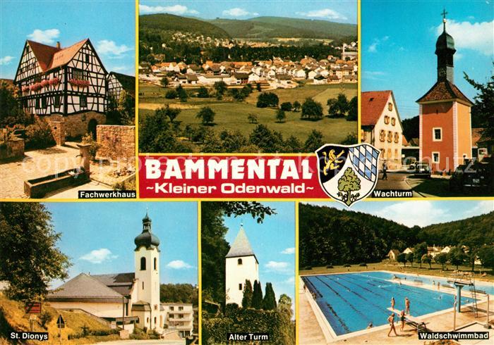 Bammental Fachwerkhaus Panorama Wachturm St Dionys Alter Turm Waldschwimmbad
