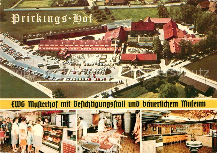 Sythen Prickings Hof Fliegeraufnahme EWG Musterhof Details