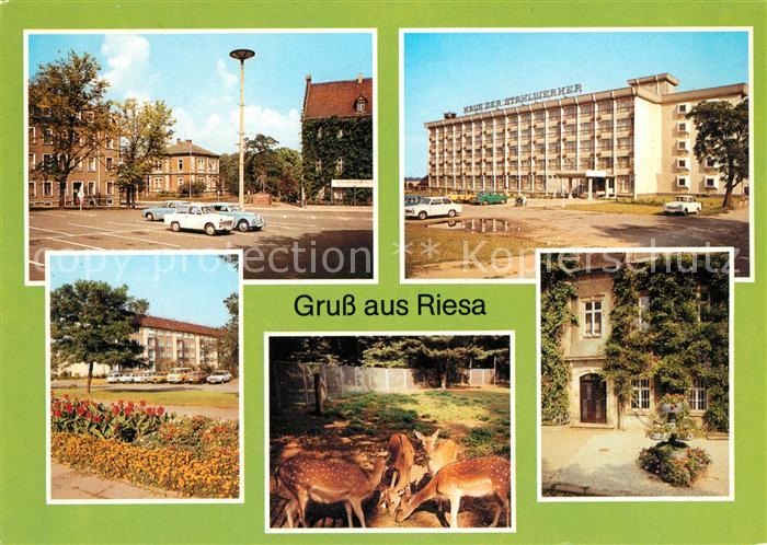 Riesa Sachsen Rathaus Tierpark Leninplatz