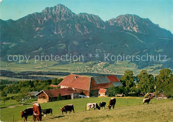 Strobl Alm am Hoegel Hochstaufen Zwiesel