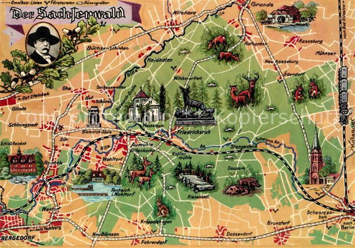 Hamburg Sachsenwald Panoramakarte