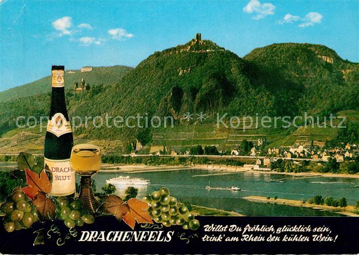 Drachenfels Panorama