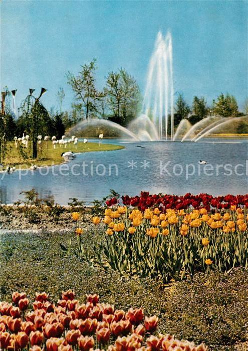 Bundesgartenschau Dortmund Springende Fontaenen Flamingoteich