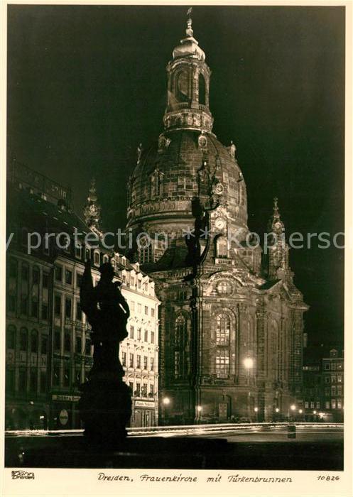 Foto Hahn Nr. 10826 Dresden Frauenkirche Türkenbrunne