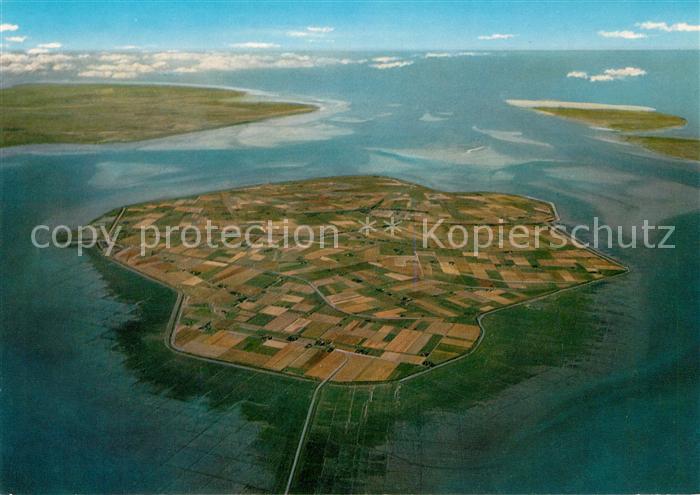Nordstrand Fliegeraufnahme Hallig Nordstrandischmoor Pellworm