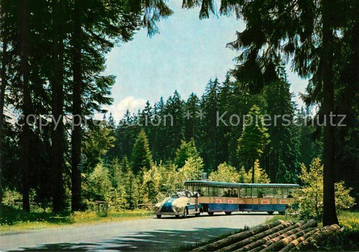 FREUDENSTADT BW Waldbaehnle