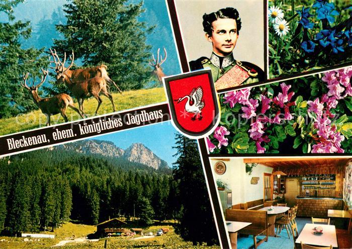 Hohenschwangau Berggaststaette und Skihuette Bleckenau Wild