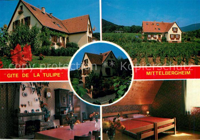 Mittelbergheim Gite de la Tulipe René Dolder