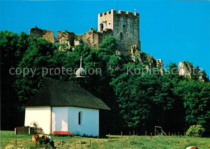 Regen Burgruine Weissenstein