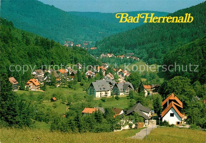 Bad Herrenalb Panorama