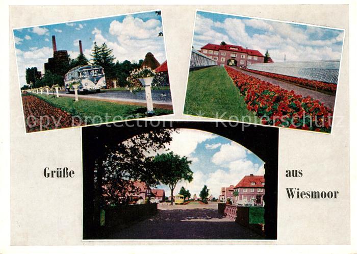 Wiesmoor Gaertnerei Azaleen Rhododendron