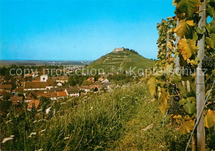 Staufen Breisgau Panorama