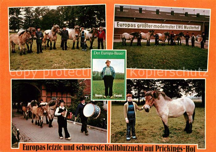 Haltern See Prickingshof