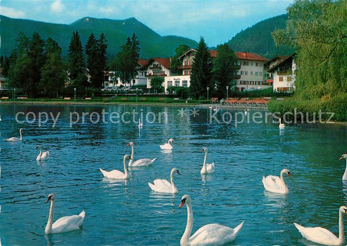 Bad Wiessee Kuranlagen Hirschberg