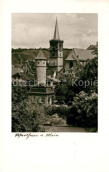 Wertheim Main Panorama