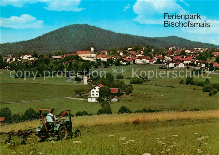 Bischofsmais Panorama