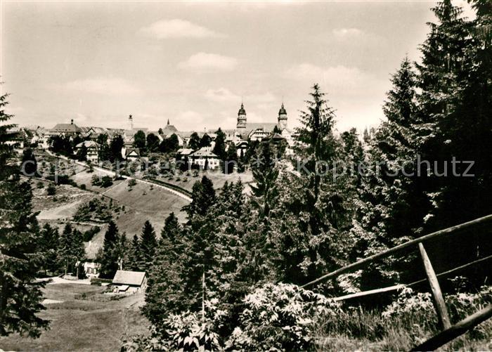 FREUDENSTADT BW Panorama