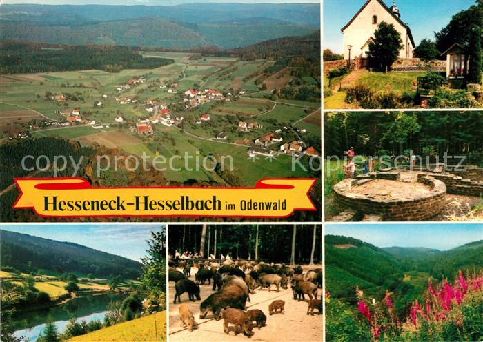 Hesselbach Odenwald Gasthaus Pension Drei Lilien Wildpark Flugaufnahme