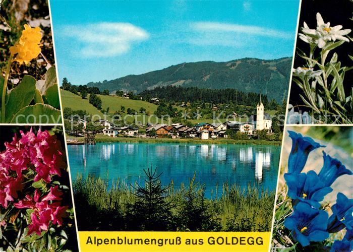 Goldegg Panorama Azaleen Edelweiss Enzian