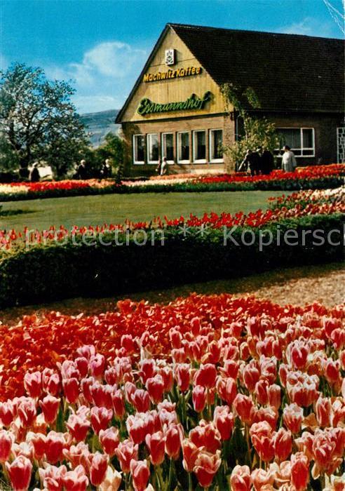Deckbergen Essmannshof Tulpenschau