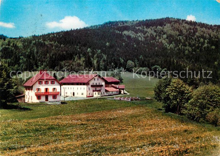 Arrach Berggasthof Pension Eck