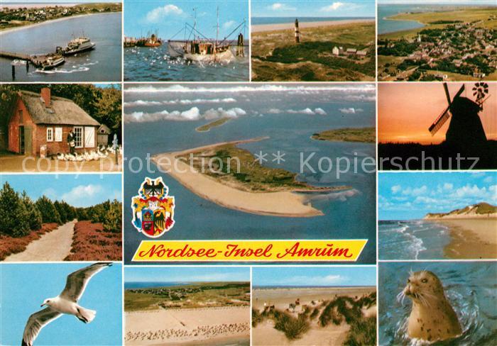 Amrum Fliegeraufnahme Insel Moeve Windmuehle Leuchtturm Strand