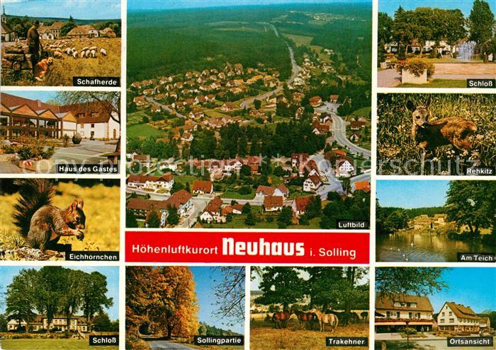 Neuhaus Solling Fliegeraufnahme Schloss Schafherde Eichhoernchen Trakehner Rehki