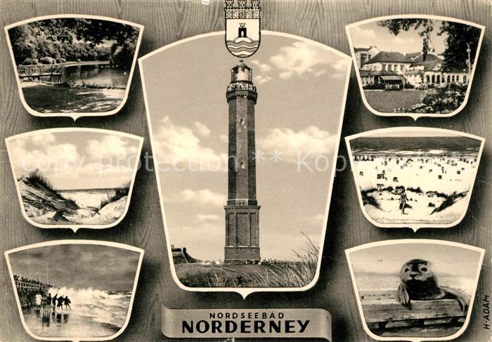 Norderney Nordseebad Strand Leuchtturm Robbe