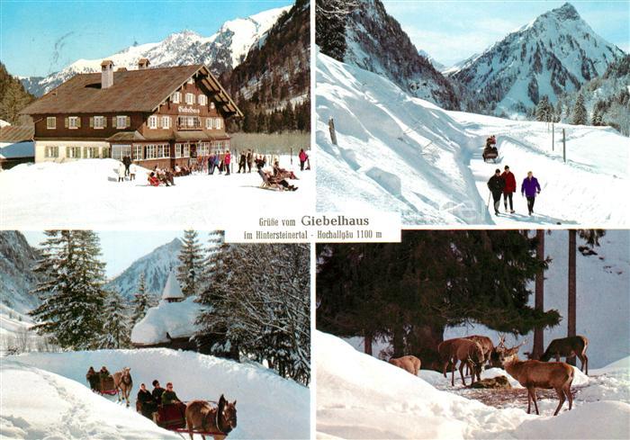 Hintersteinertal Giebelhaus Pferdeschlitten Hirsche Winterlandschaften