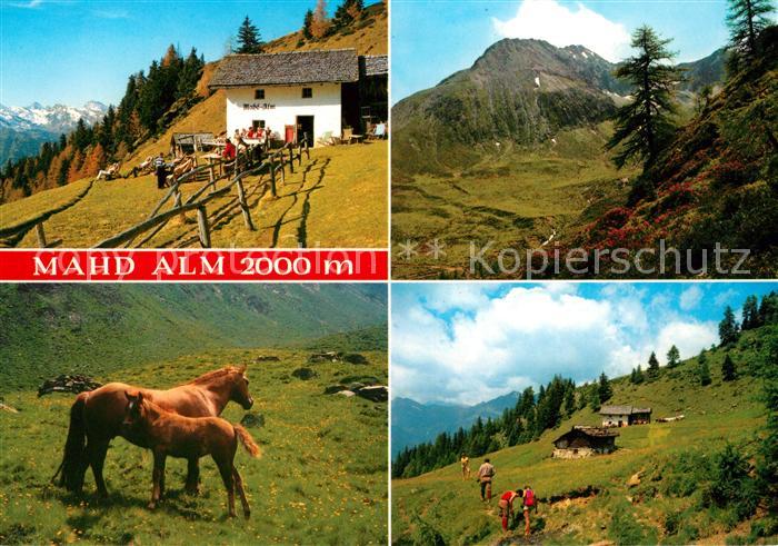 Schenna Meran Mahdalm