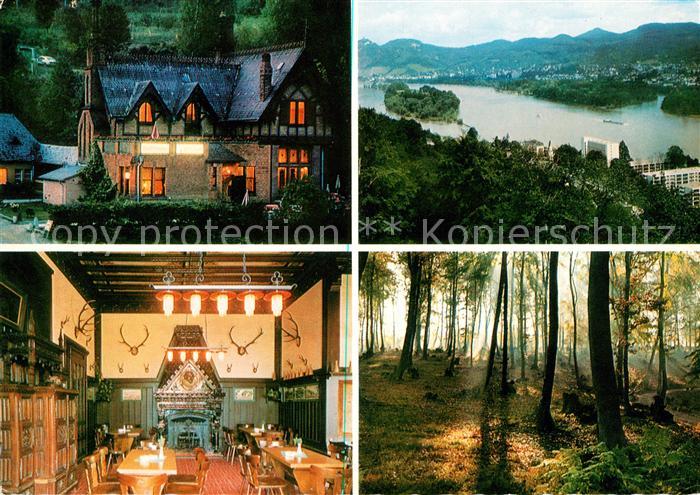 Rolandseck Wald- Wildpark