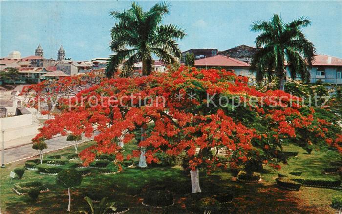 Ciudad de Panama Plaza de Francia