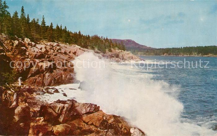 Maine Surf Along Ocean Drive Acadia National Park