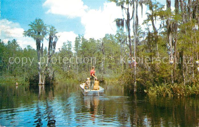 Fargo Georgia Okefenokee Swamp
