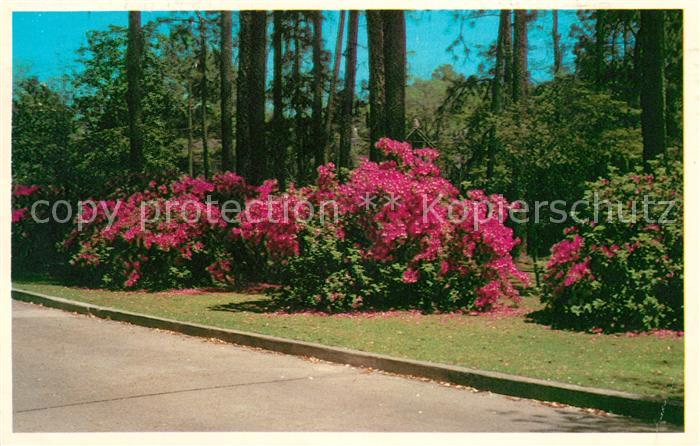 Valdosta State College