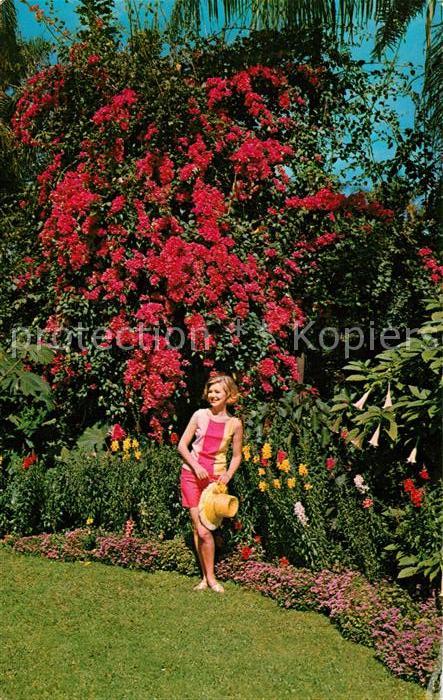 St Petersburg Florida Sunken Gardens Tropical Gardens