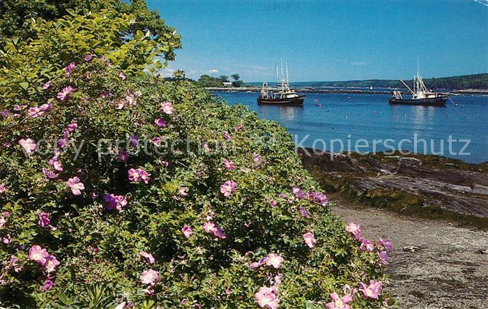 Cundys Harbor Maine Commerical fishing boats Flowers