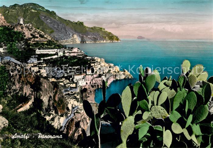 Amalfi Panorama Kueste Kaktus