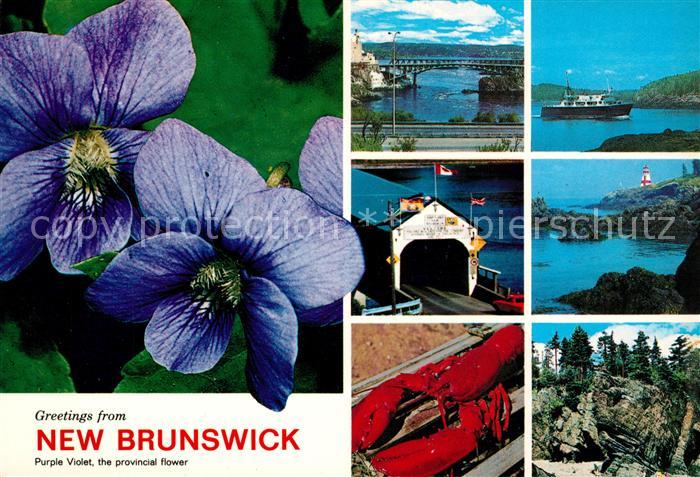 New Brunswick Nouveau Brunswick ---