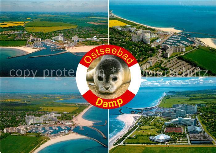 Damp Ferienresort Fliegeraufnahme Rettungsring Seehund