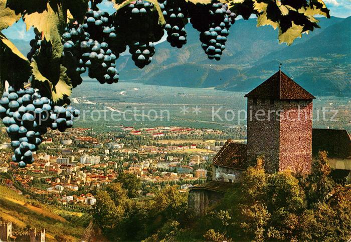 Meran Merano Castel Tirolo Schloss Tirol Blick ins Tal Weintrauben